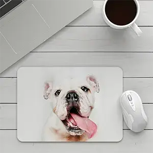 Print your pet photo on to a mousepad online with RapidStudio