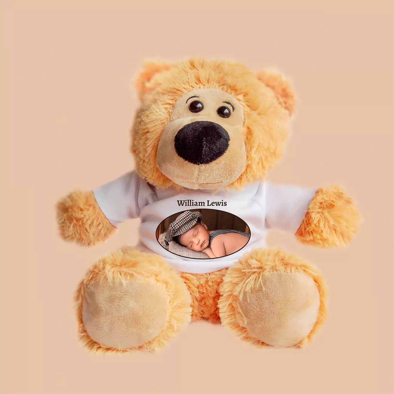 Make your own personalised photo teddy bear soft toy online with RapidStudio